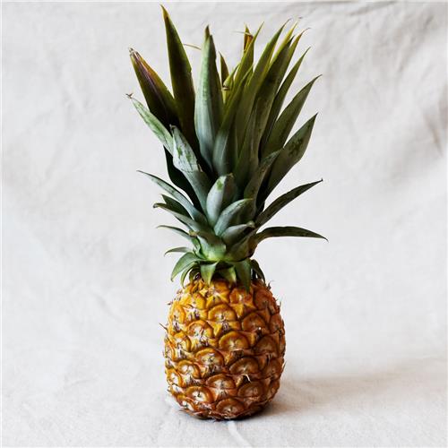 Pineapple Certified Organic – All About Organics Online