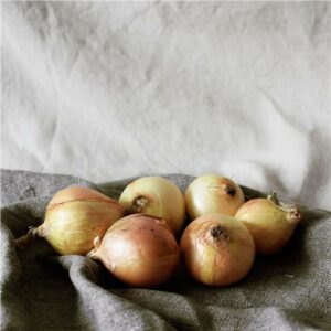 Onions Brown Certified Organic