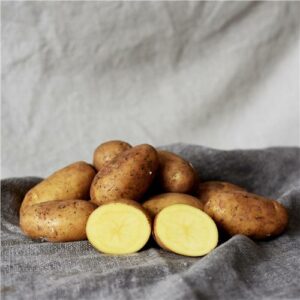Potatoes Dutch Cream Certified Organic