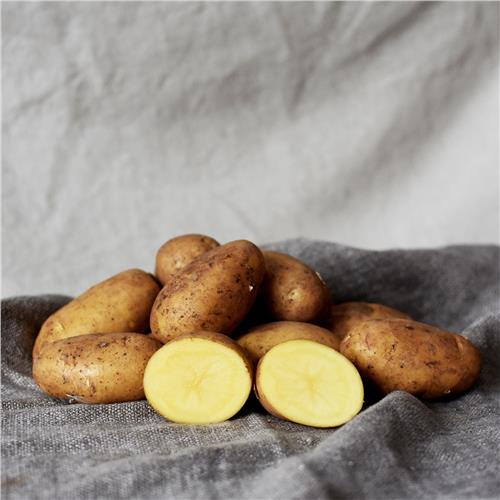 Potatoes Dutch Cream Certified Organic All About Organics Online