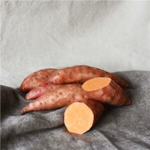 Sweet Potato Gold