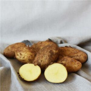 Potatoes Nicola Certified Organic
