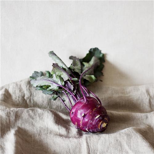 Kohlrabi Certified Organic