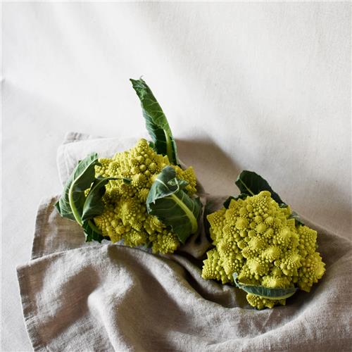 Romanesco Certified Organic