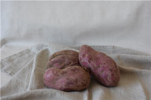 Sweet Potatoe Purple Certified Organic