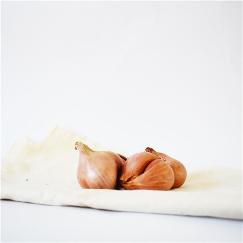 Onions SHALLOTS  Certified Organic