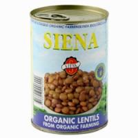 Siena Lentils Tinned Certified Organic 400g