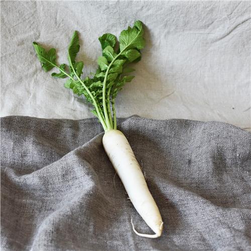 Daikon Certified Organic