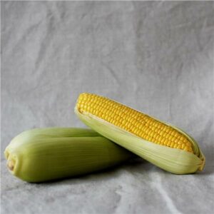 Corn Certified Organic