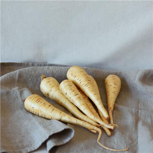 Parsnip Certified Organic