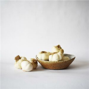 Garlic WHITE Certified Organic