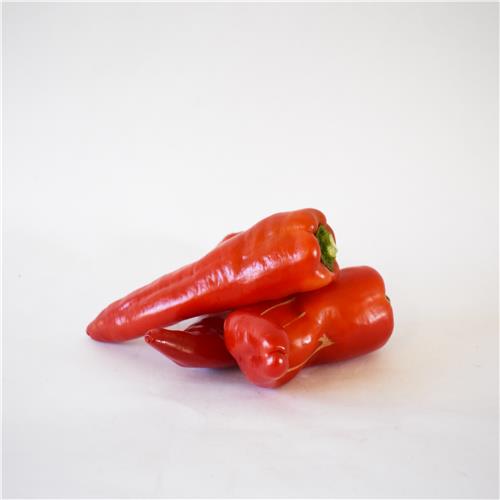 Capsicum Bullhorn RED/Orange All About Organics Online