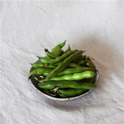Broadbeans Certified Organic