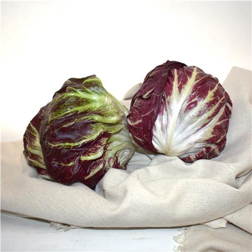 Lettuce RADICCHIO Certified Organic