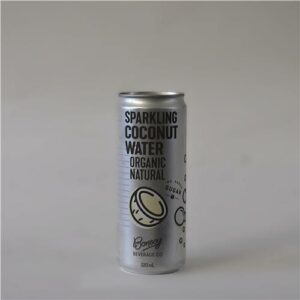 Bonsoy Organic Sparkling Coconut Water Natural 320ml