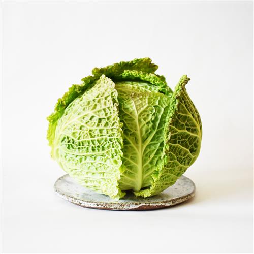 Cabbage Savoy Certified Organic