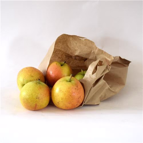 Papple Certified Organic (cross btw apple and nashi pear)